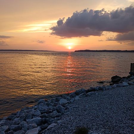 The Gemini-A Dreamy, Waterfront Tiny Cabin Rogersville المظهر الخارجي الصورة